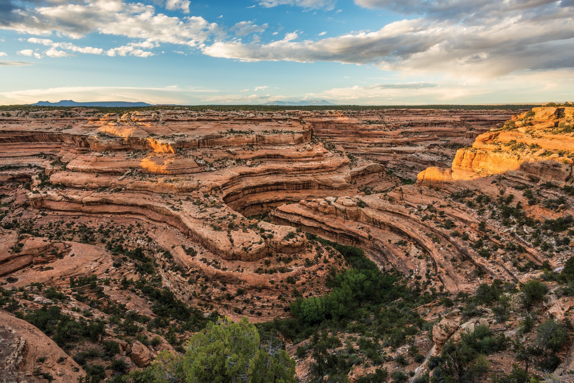 An Explorer Confronts His Last Canyon