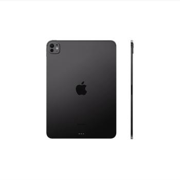 Apple iPad Pro 11-Inch (M4) WiFi + Cellular - 256 GB with Standard
