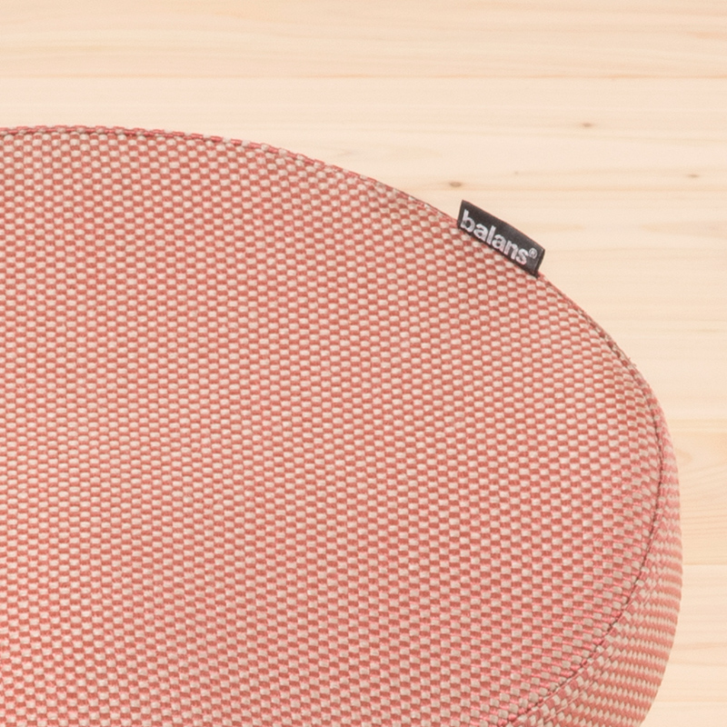 製品情報 | 腰痛対策と姿勢改善に着目した「歩くように座る」椅子