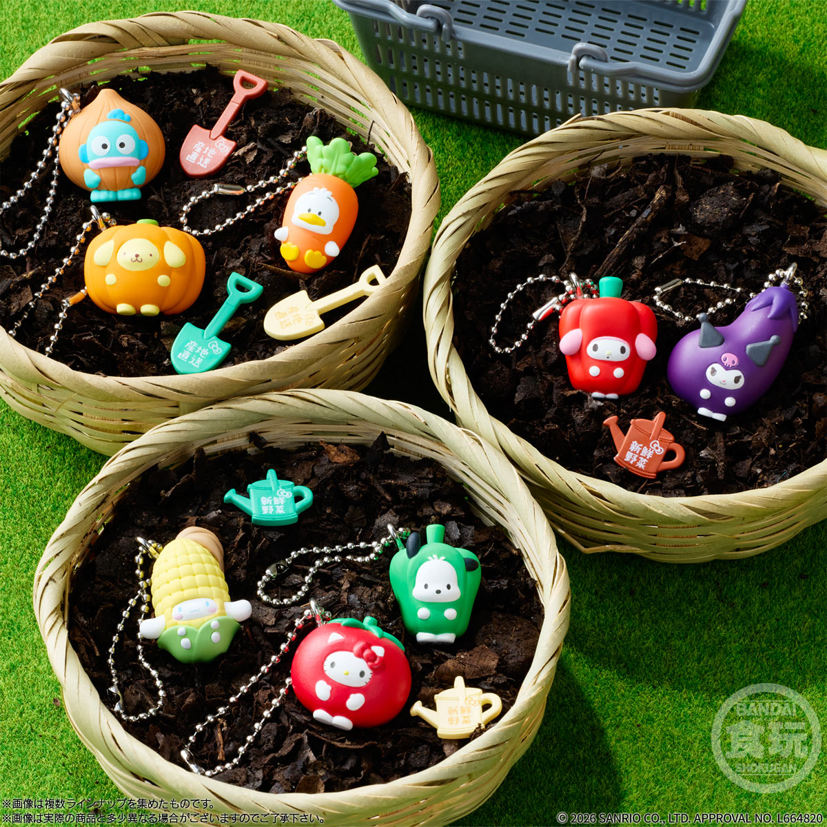 サンリオキャラクターズ ベジタブルビスケット＆チャーム｜発売日