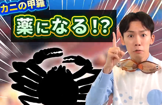 富山湾おさかなドンジャラ | 富山テレビ放送