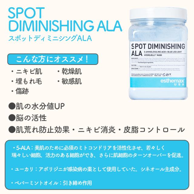 ハイドロジェリーマスク スポット ディミニシングALA-エステ化粧品の卸
