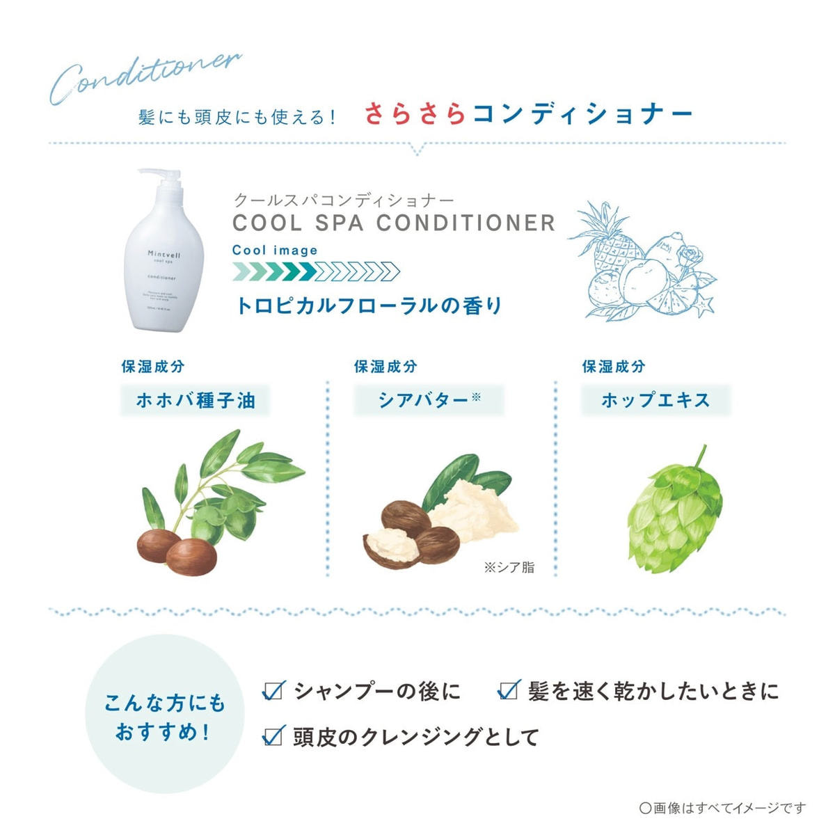 ミントベル フレッシュグリーンシャンプー 1900mL詰替の卸・通販