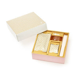 最安値メディプローラ プレミアムマスク 業務用30回分