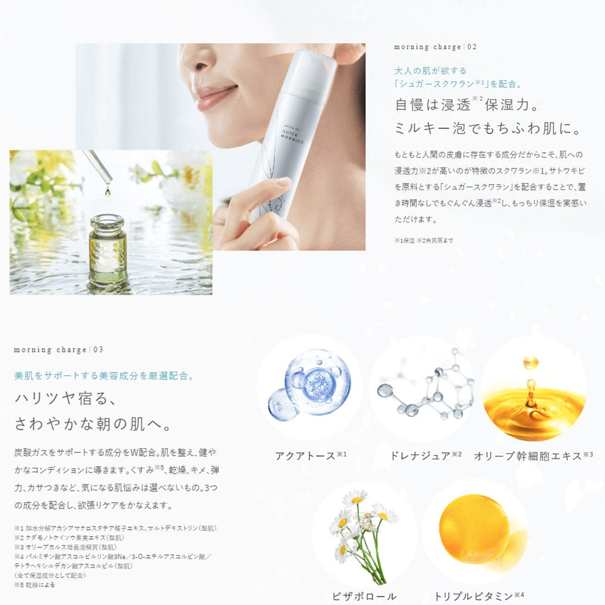 お試し用】エニシー フォー クイックモーニング 50gの卸・通販