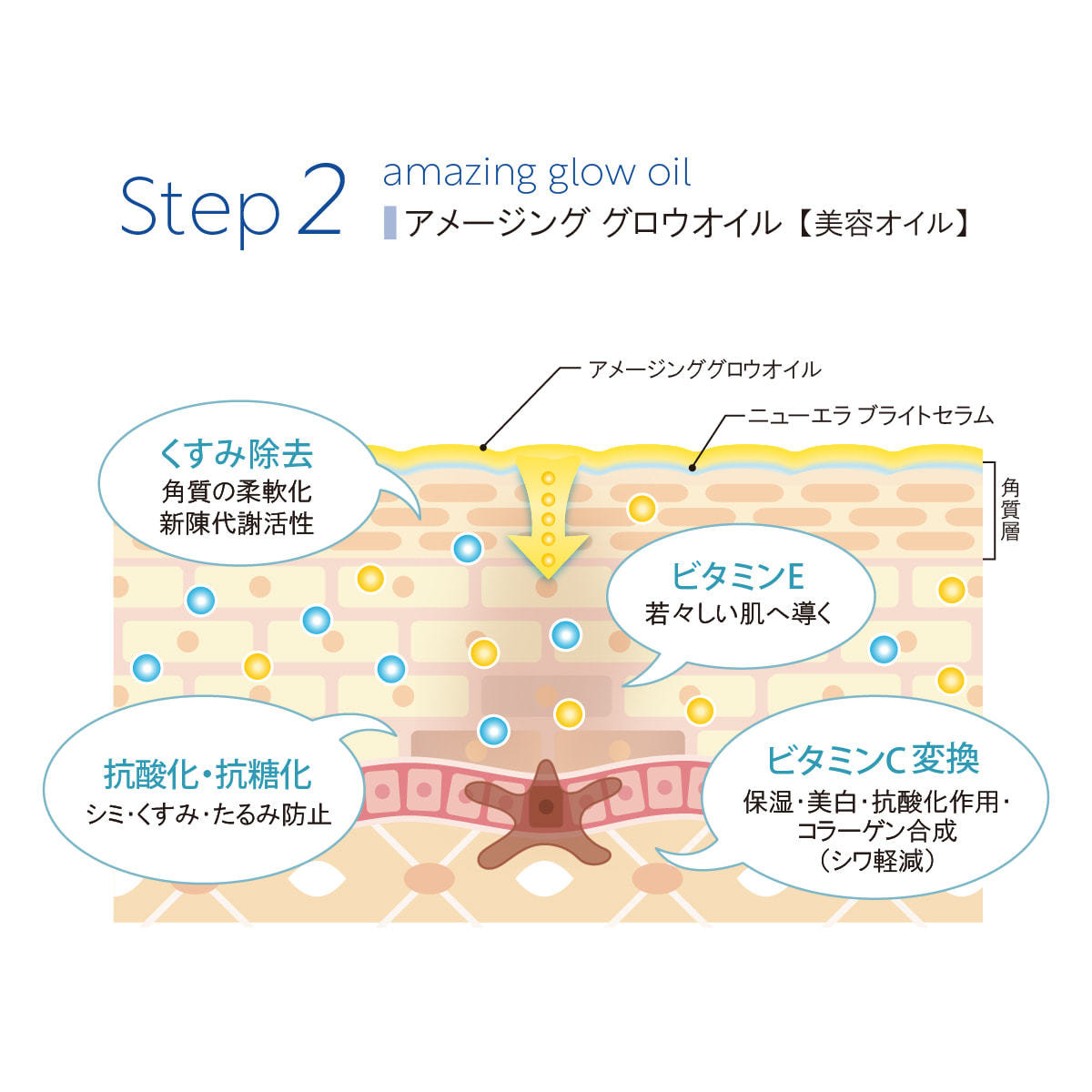 ラボプラス ADノーブル アルティメットセットWH【店販用】の卸・通販