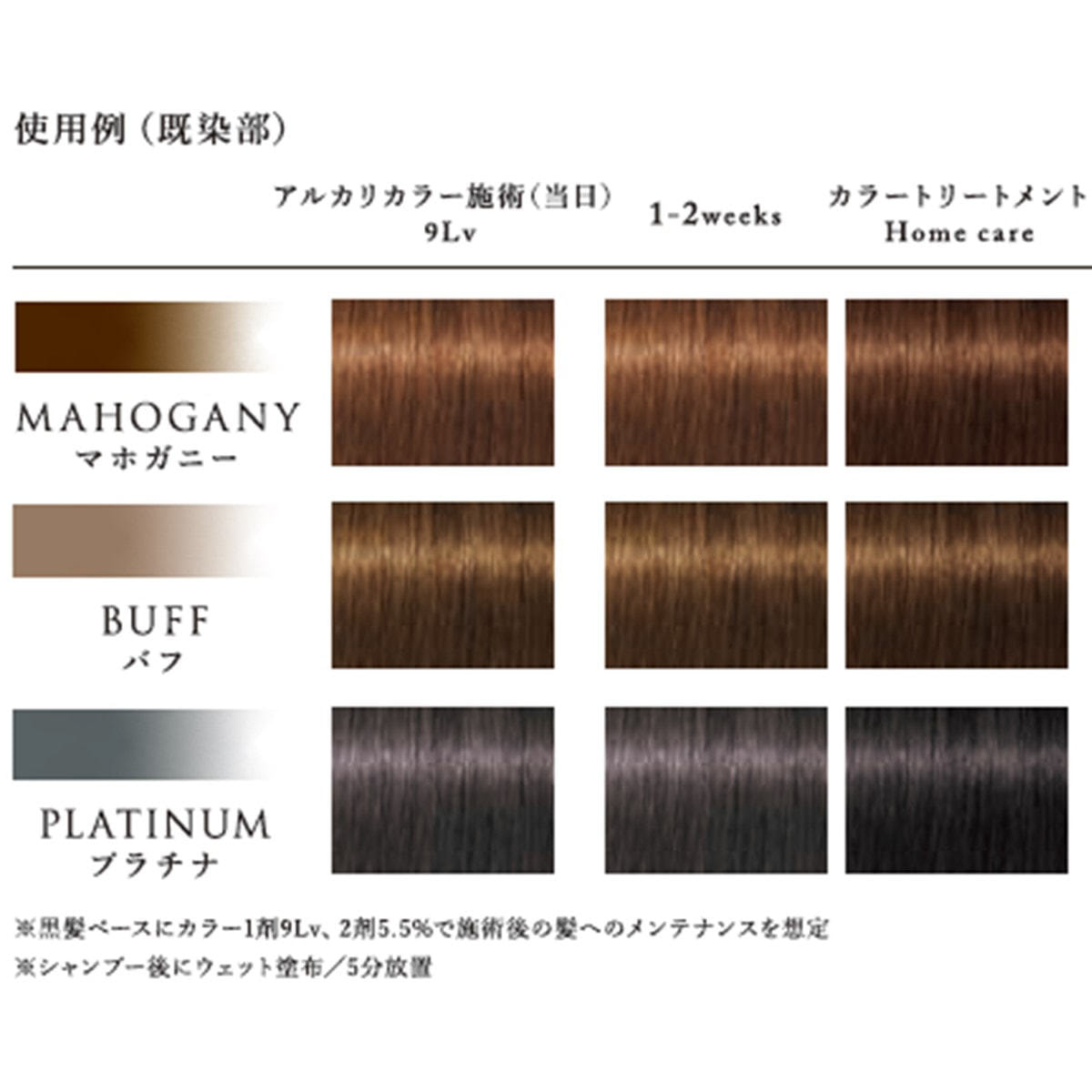 テラ by エッセンシティ カラートリートメント プラチナ 180gの卸