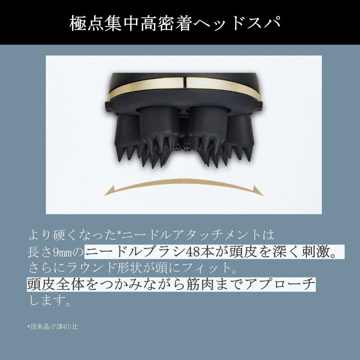 ヴェーダニードルスパ BS for Salon≪スキャルプ＆リフトケア≫の卸