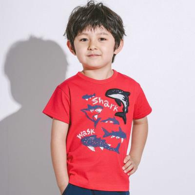 新品含む✨極美品 キッズブランド WASK Tシャツ 男の子140 150 4枚