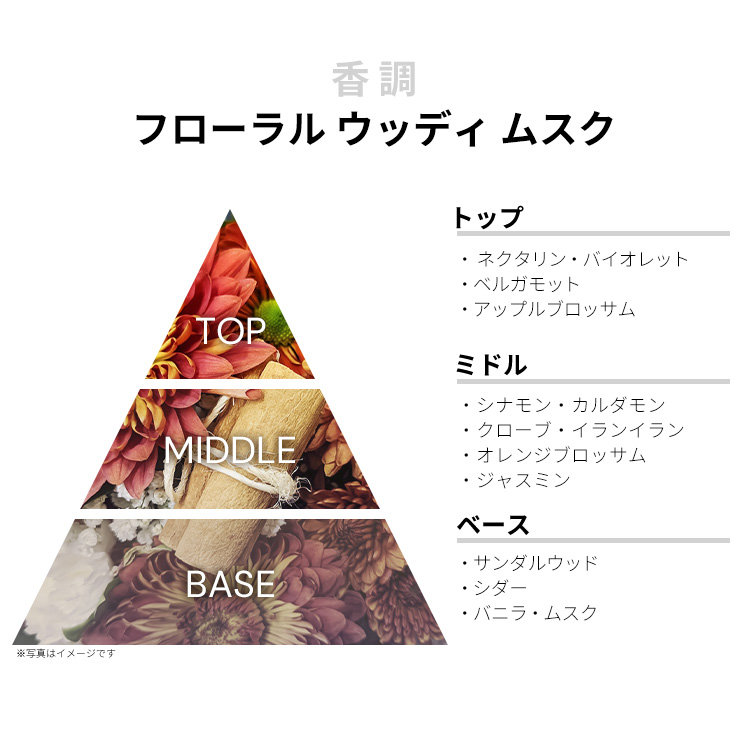 ザ マーチャント オブ ヴェニス ノーブル ポーション EDP 【お試し香水