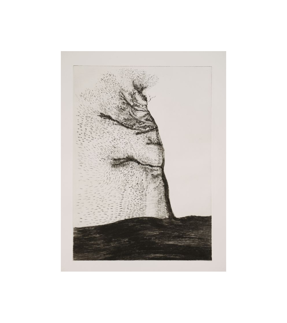 giuseppe-penone-transcription-