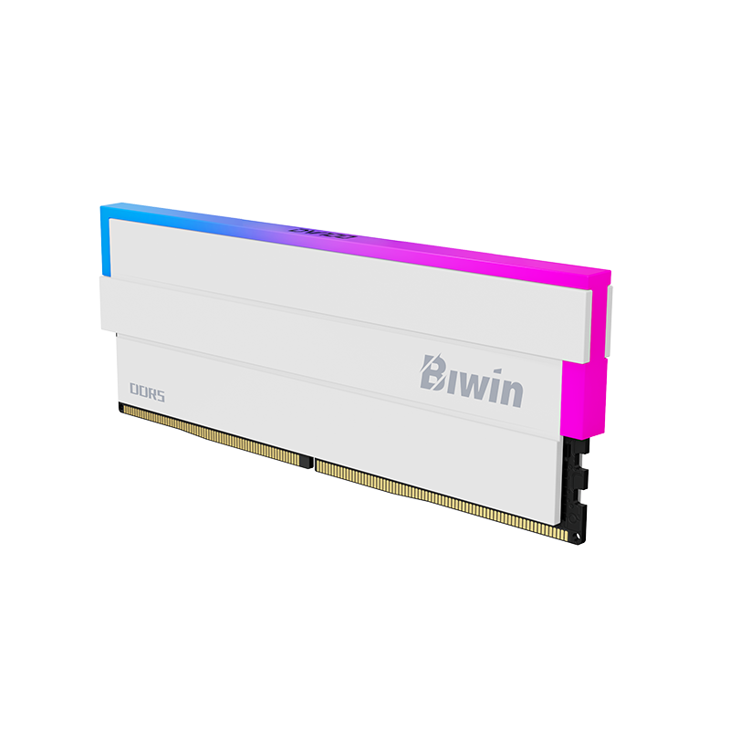 Biwin Black Opal DW100 DDR5 RGB RAM with Speeds up to 8400 MT/s