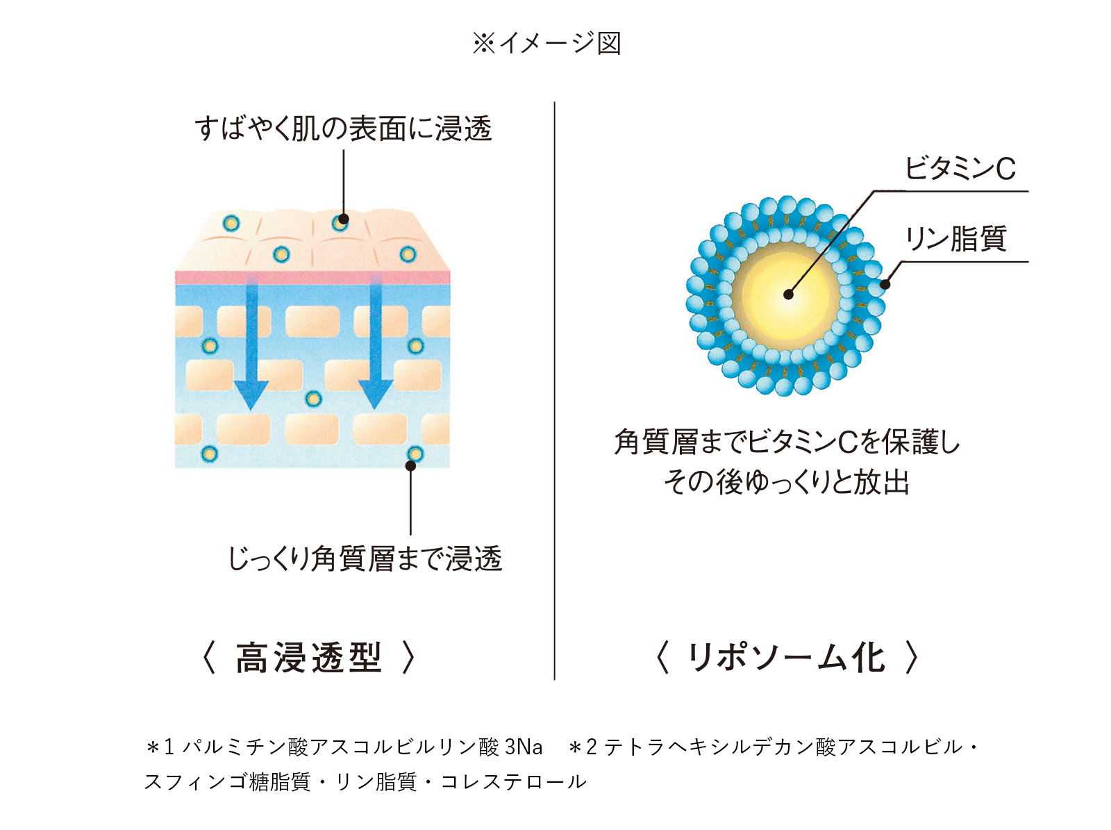 艶肌ジェルクリーム｜自社製品紹介｜株式会社美人COMPANY