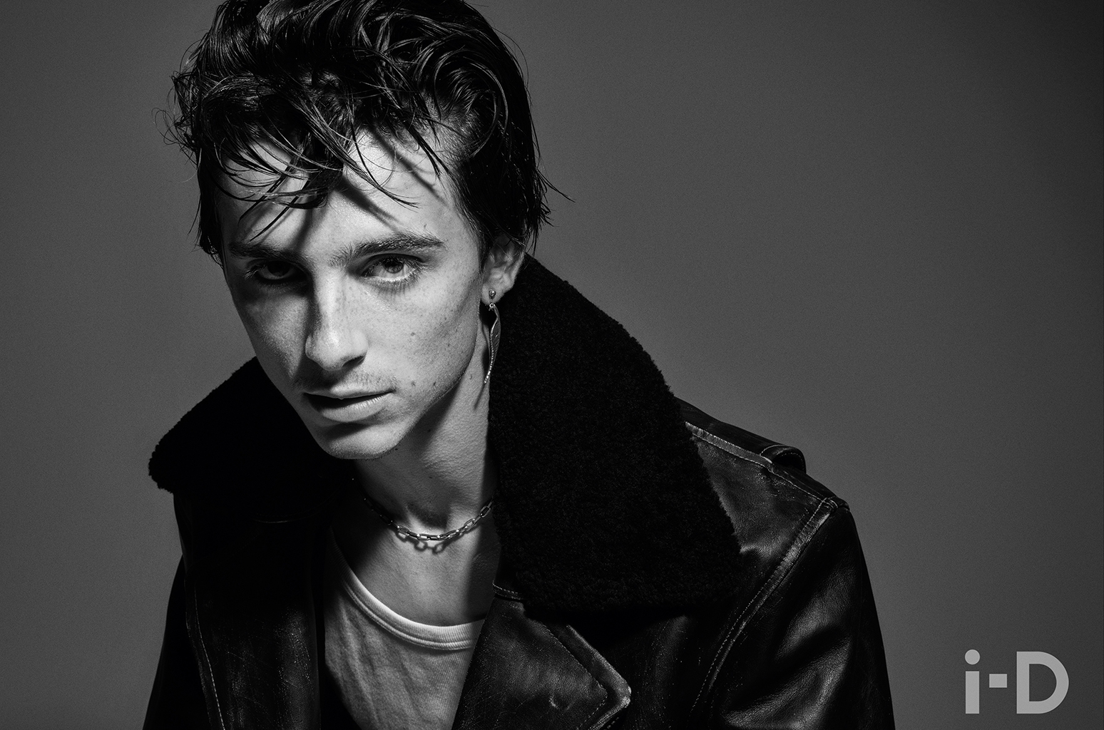 Harry Styles Interviews Timothee Chalamet For 'ID' Magazine