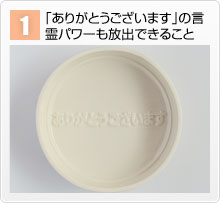 プレマオリジナル森修焼（しんしゅうやき） 特別価格で速攻発送