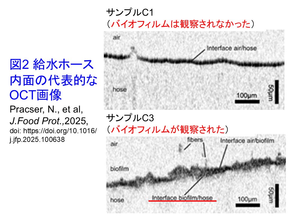 第140話 ご用心“バイオフィルム” - 食品細菌自動検査システムの株式