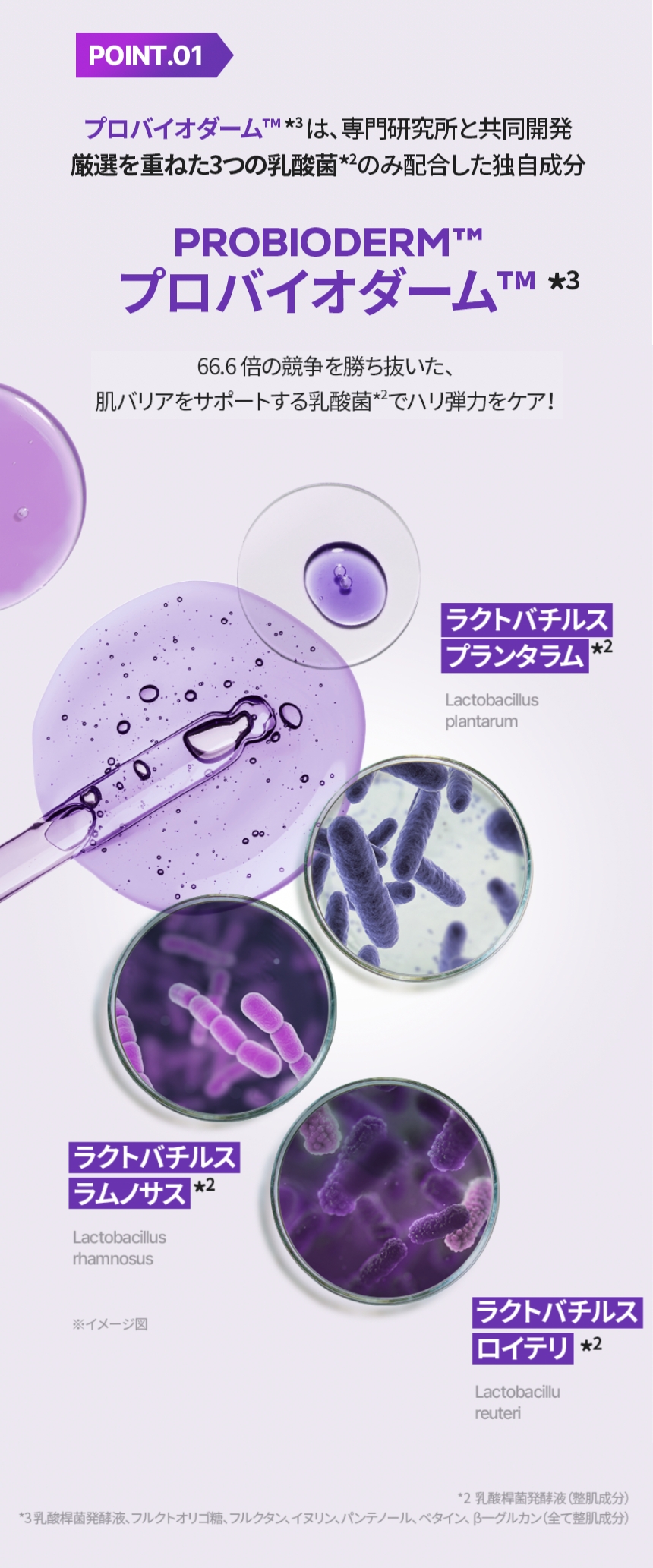 プロバイオダーム™ 3Dリフティングクリーム|BIOHEAL BOH