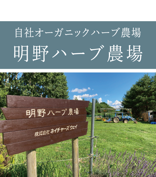 デマキャン ソンシーブル | BIOLAB (バイオラブ)