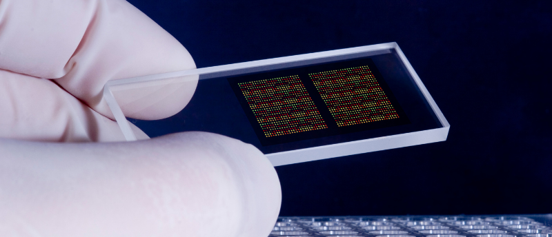 DNA Microarray Revolutionized Genomic Analysis - BioTechniques