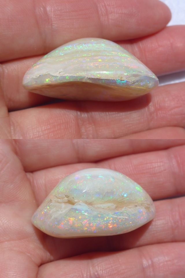 シェルオパール 貝オパール オパール化貝化石 オパライズドシェル