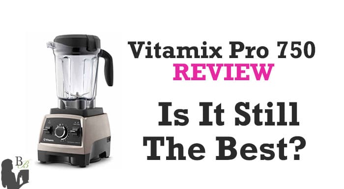 Vitamix Pro 750 Review Professional Series Blender