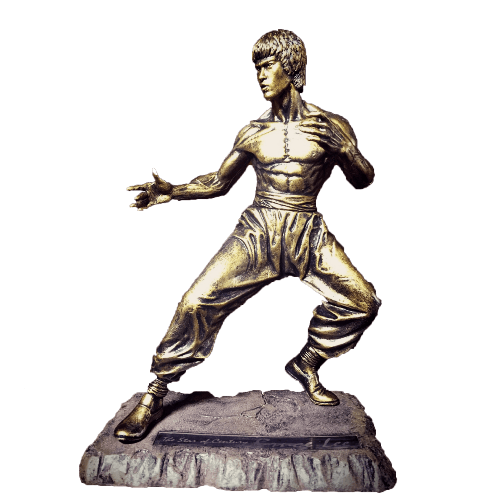 BruceLee_0a58959d-bfcc-4a88-