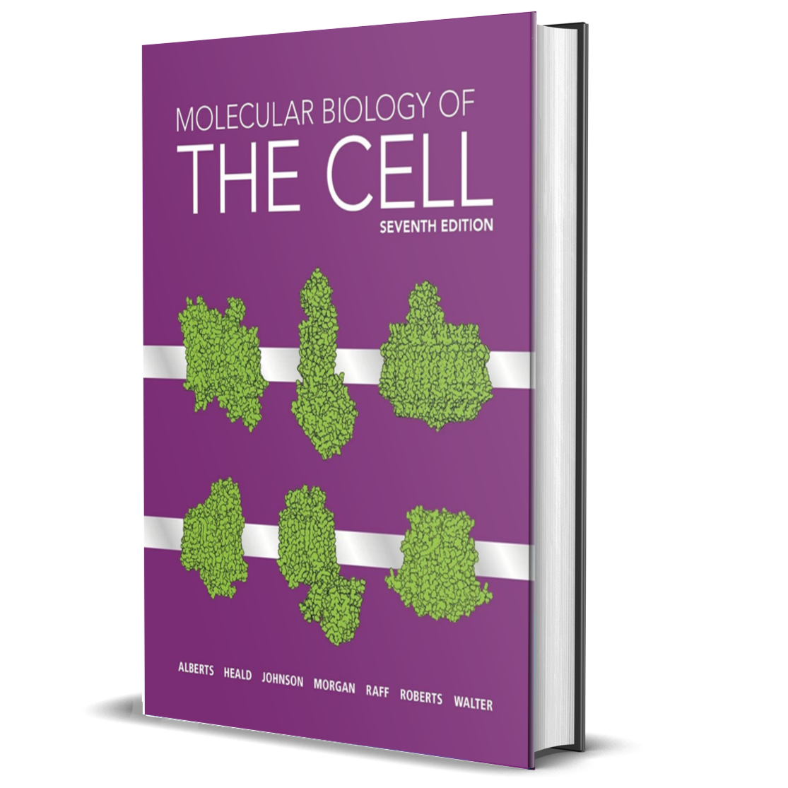 Molecular Biology of the Cell - BIOWEB Brasil