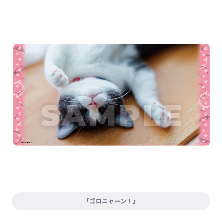 ブロッコリートレカアイテムくじEX「猫これくしょん」｜ブロッコリー