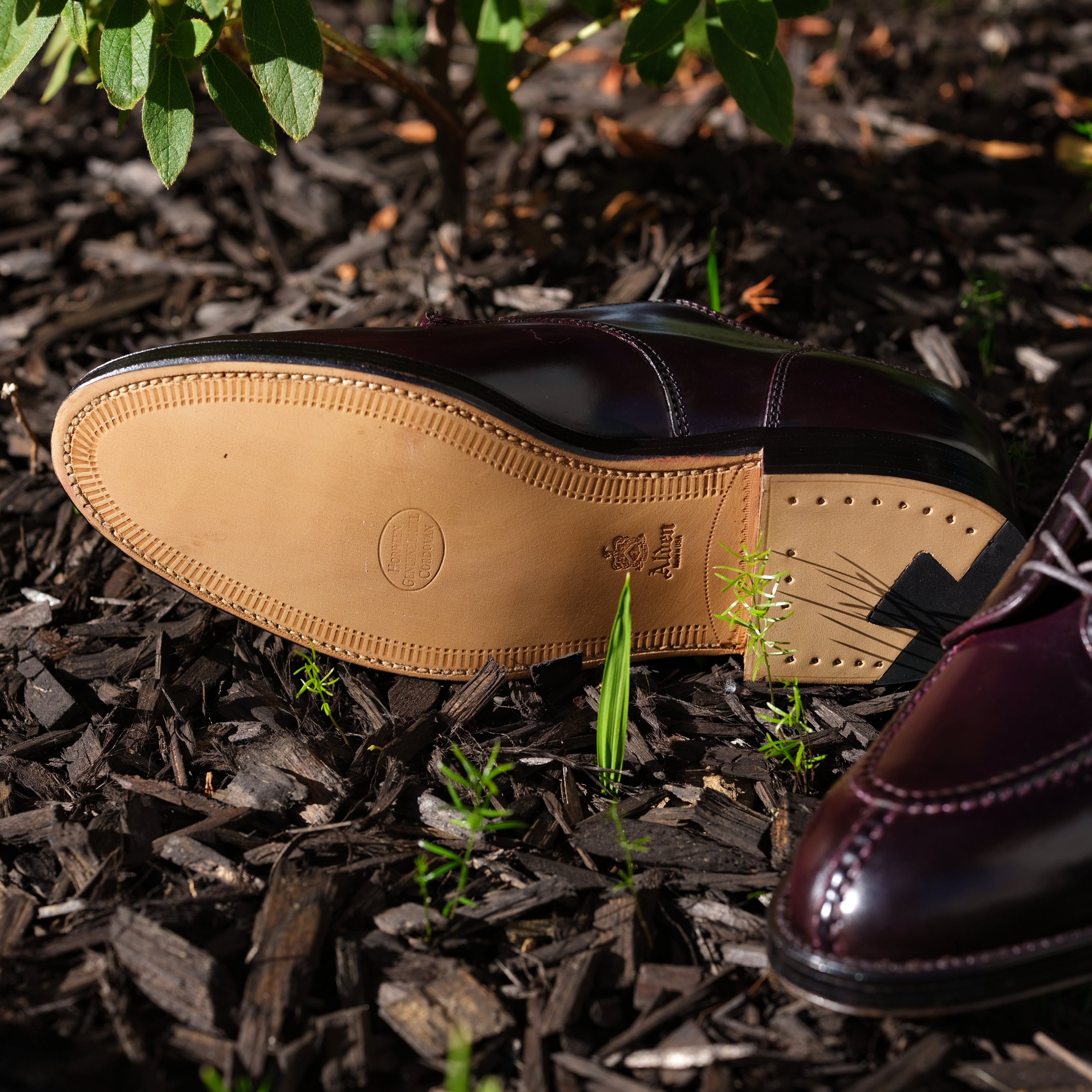 Alden Norwegian Split Toe Blucher – BROGUE