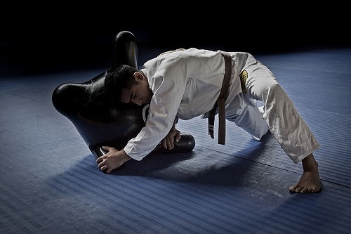 Combat X Trainer トレーニングボール