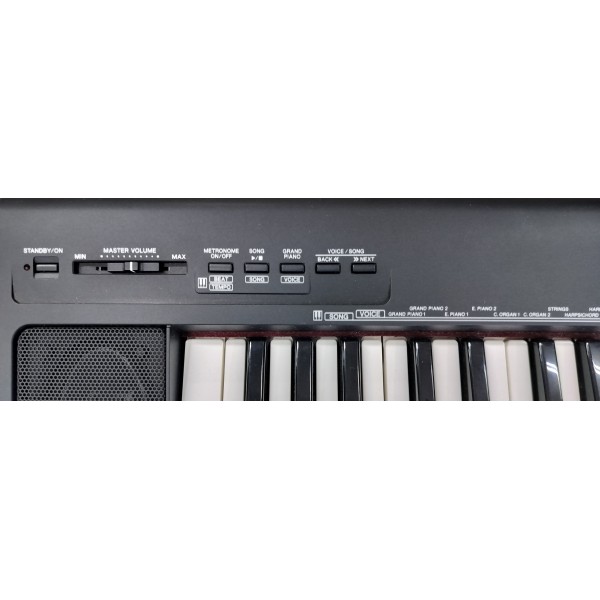 Yamaha NP-30 Portable Grand 76 Key Digital Keyboard Piano w/bag & more