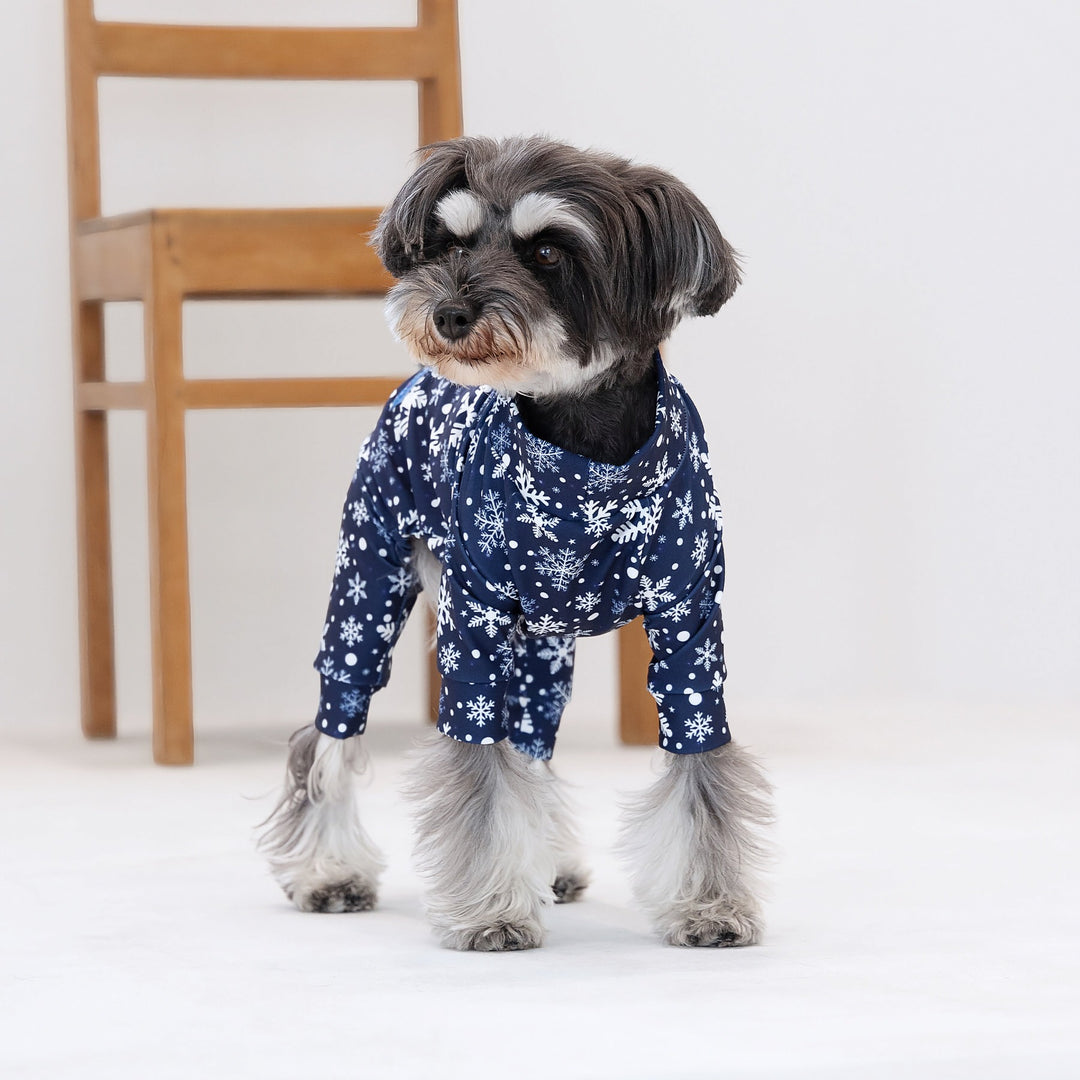 Buzz Factory カラフルロンパース ナイトスノー 日本製 ドッグウェア