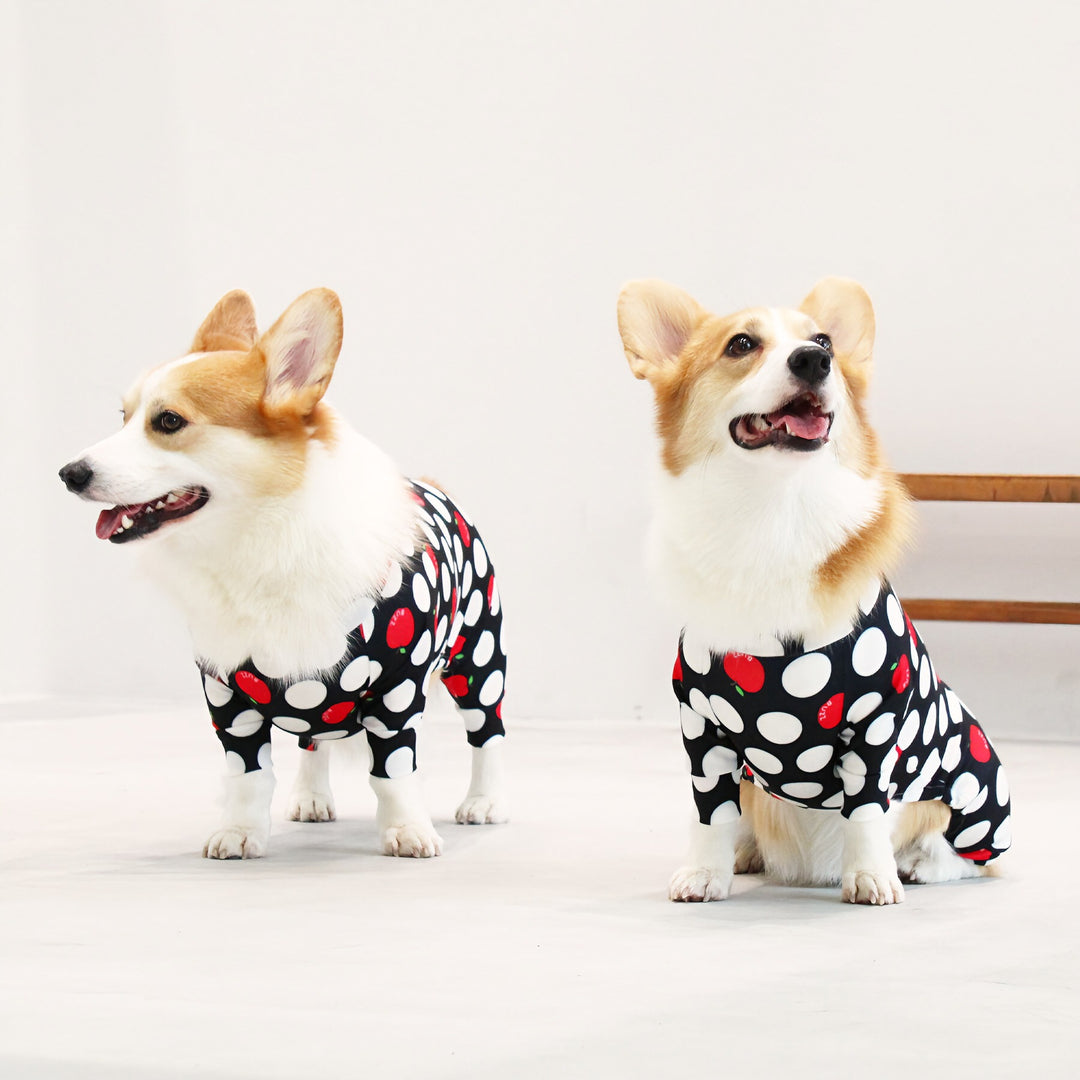 Buzz Factory バズファクトリー カラフルロンパース 胴長・短足わん