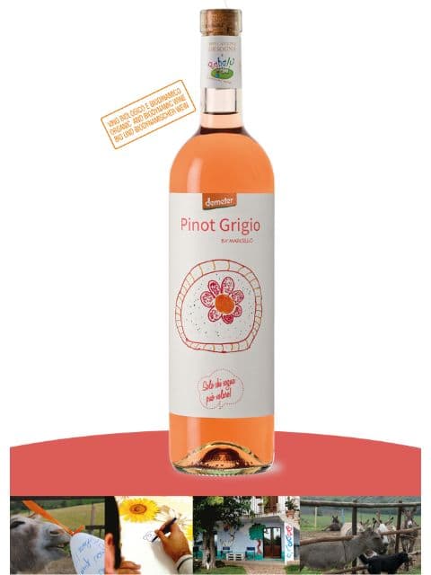 カンティーナ・オルソーニャ ババル ピノ・グリージョ オーガニック