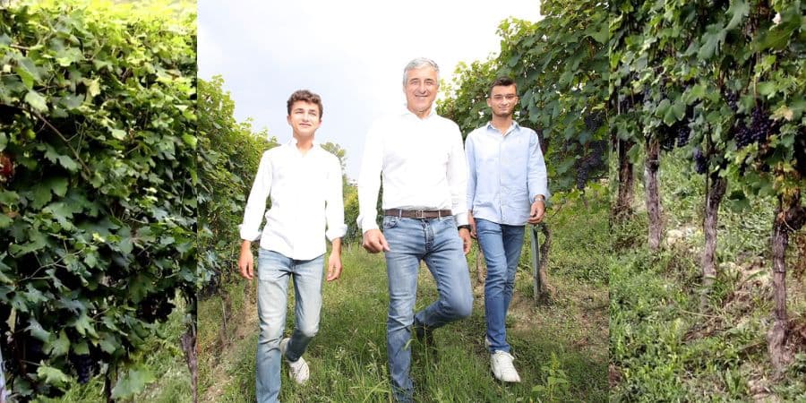 ナターレ ヴェルガ モスカート スプマンテ ドルチェ｜ワイン通販の世界