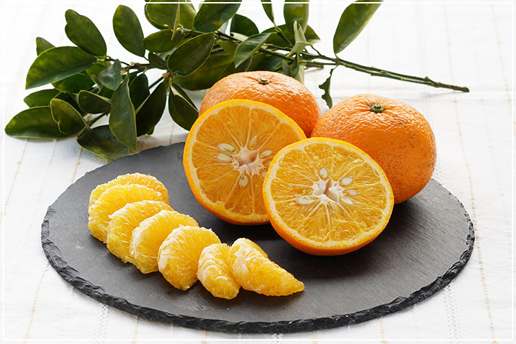 有機栽培] 紅甘夏（べにあまなつ）(1kg）の販売・通販 - 有機野菜の