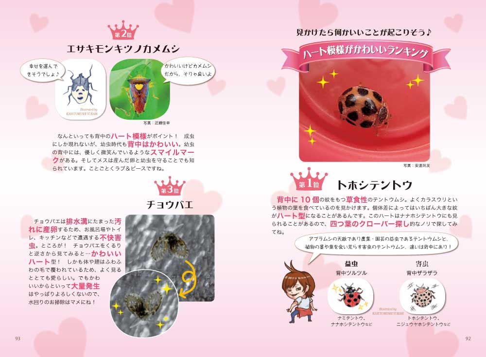 カブトムシゆかりの虫活！