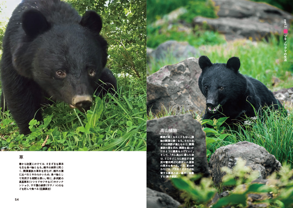 ツキノワグマのすべて