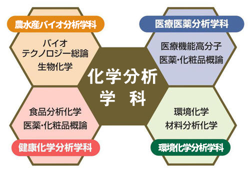 カリキュラム｜化学分析学科（土・日 社会人コース）｜学科紹介｜日本
