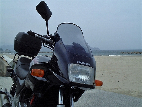 XELVIS（ゼルビス） | ぶらっと