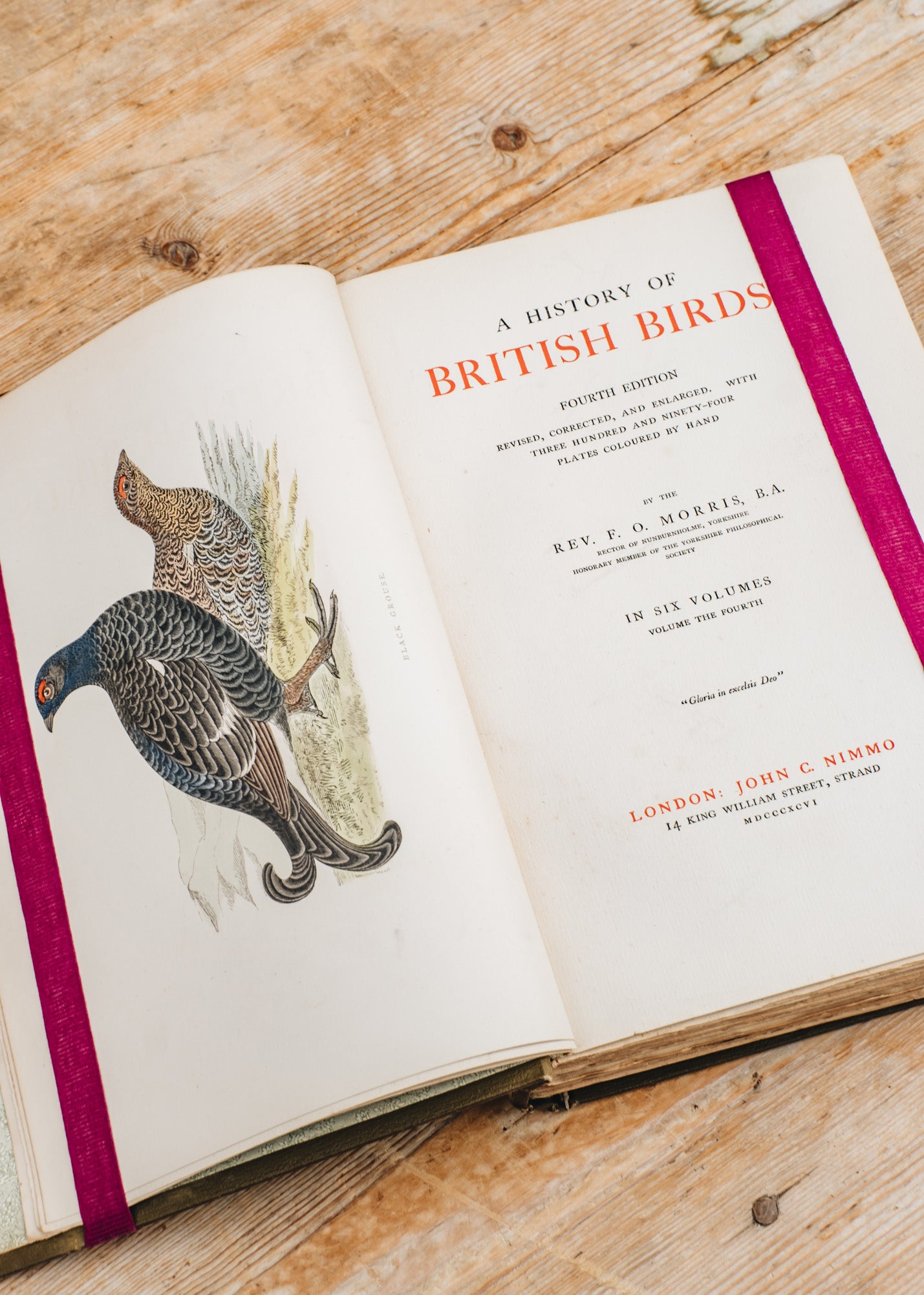 ア*リ様 ☆英国鳥類図鑑 モリス A History of British Bi ☆英国鳥類