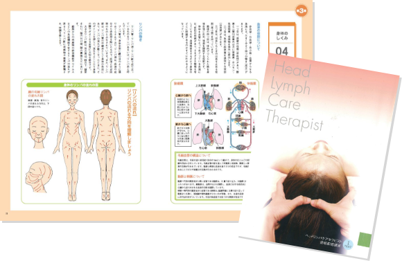 カリキュラム｜ヘッドリンパケアセラピスト資格取得講座｜通信教育講座