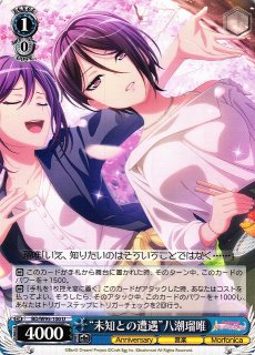 WS】“知識の海へ”八潮瑠唯(サイン+箔押し)【SSP】BD/W95-093SSP