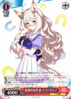 WS】選ばれた者の使命 蘭堂&える【PR】DCT/S86-P05ヴァイス