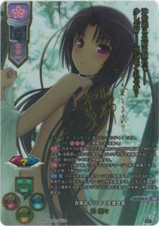 Lycee【SSP】 - C-labo Online買取