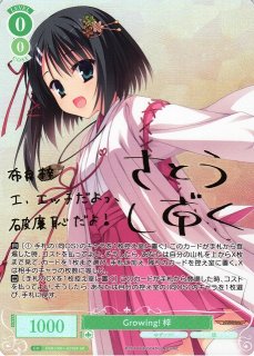 70726f647563742f7773726f733031