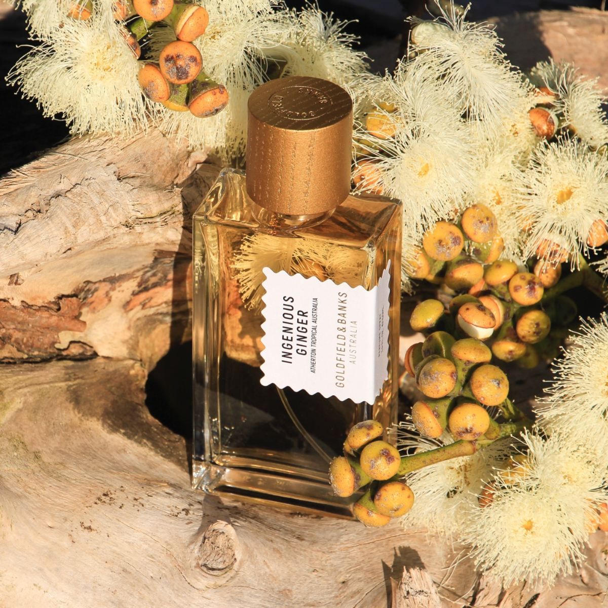 Ingenious Ginger - Goldfield & Banks Australia - Eau de Parfum