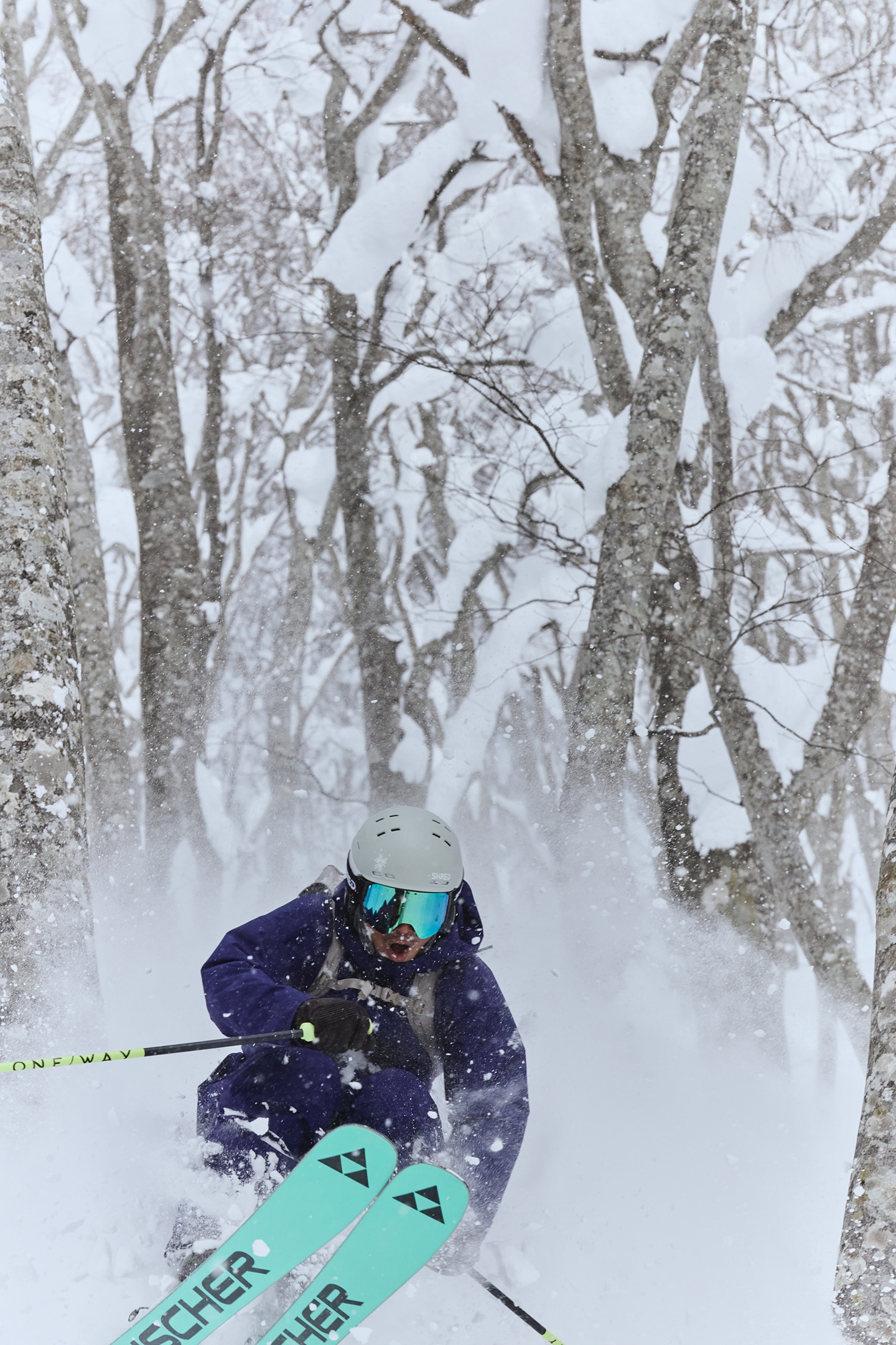 2025-2026 スキーコレクション | ゴールドウイン | Goldwin【公式】