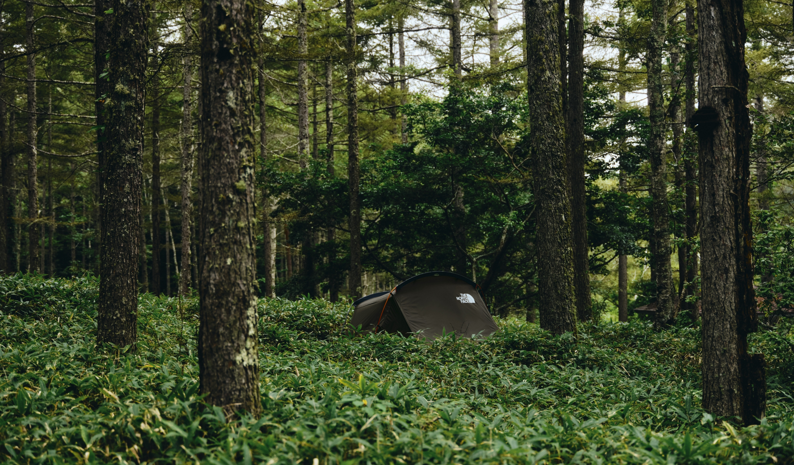 Evacargo 2 | Online Camp Store | THE NORTH FACE CAMP