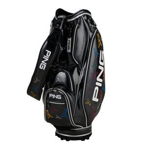 ピン(PING) CB-C221 ミスターピン